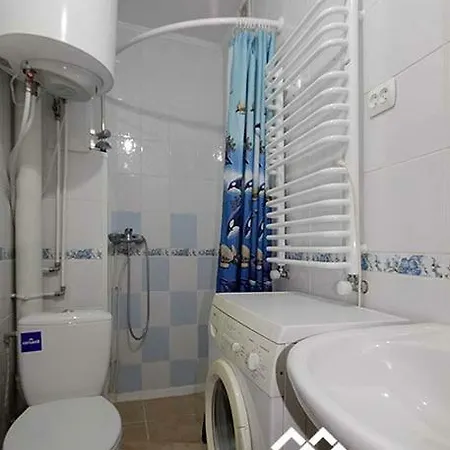 у гайдука Apartment *