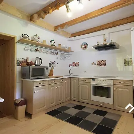 у гайдука Apartman Vizhenka